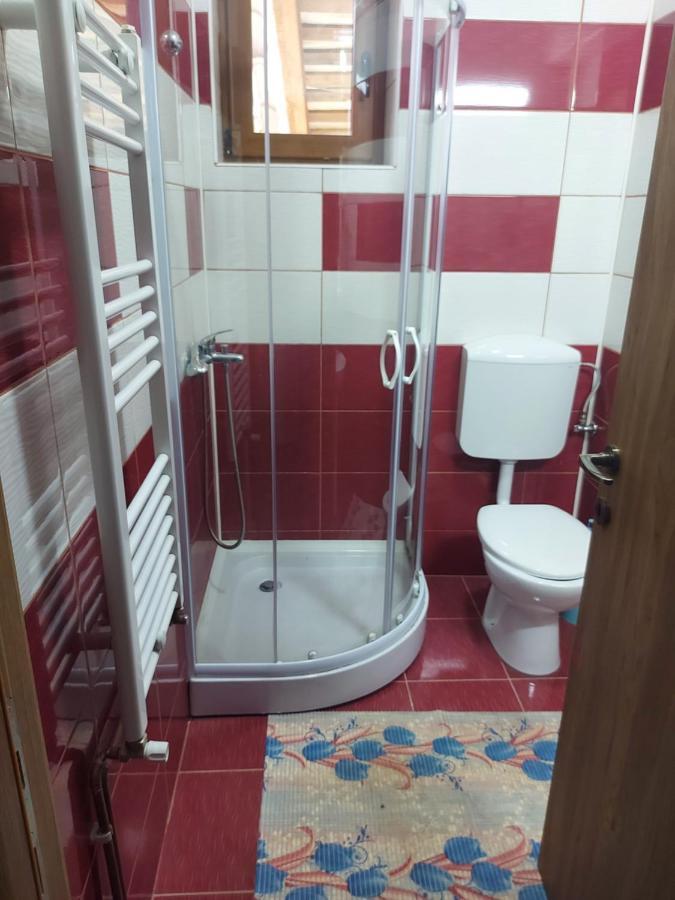 Hôtel Vila Ioana à Slănic-Moldova Extérieur photo