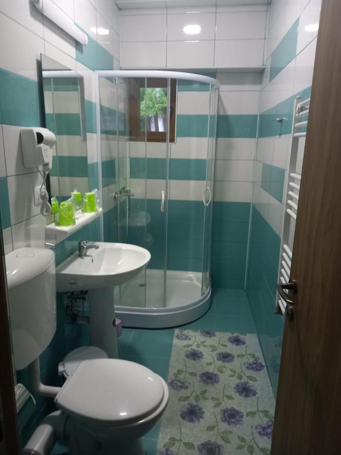 Hôtel Vila Ioana à Slănic-Moldova Extérieur photo